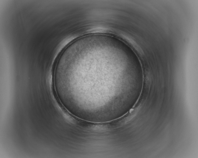 X0000110741418200906221019