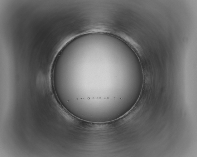 X0000110741423200906221019