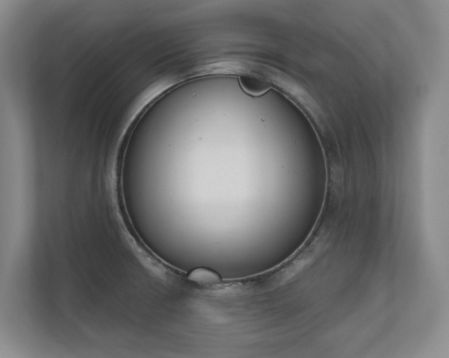 X0000110741426200906221020
