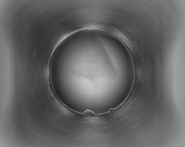 X0000110741428200906221020
