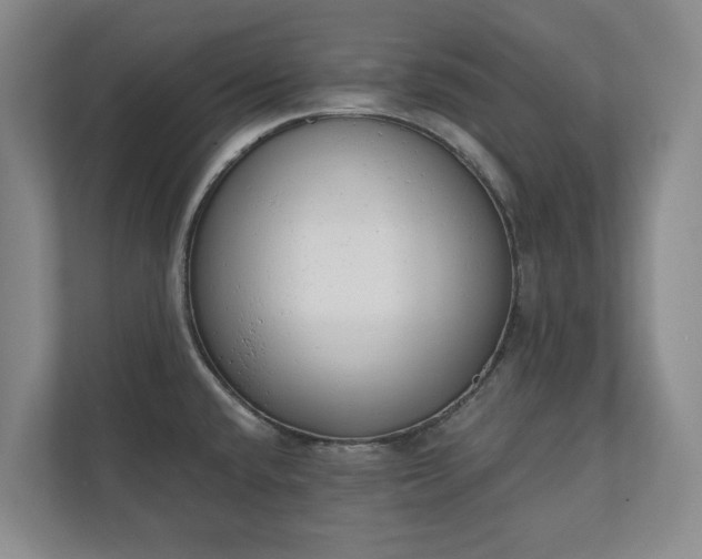 X0000110741432200906221020