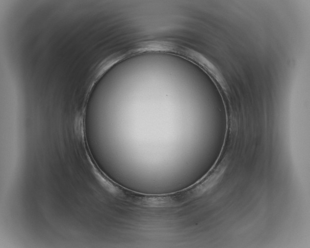 X0000110741433200906221020