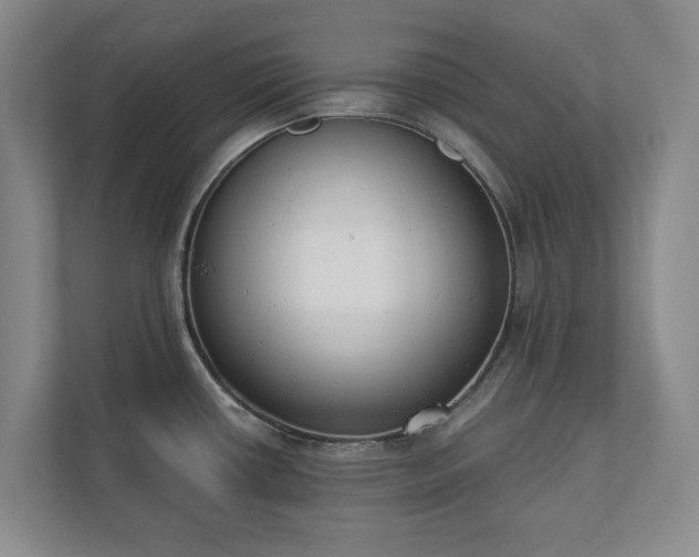 X0000110741434200906221020