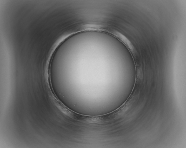 X0000110741435200906221020