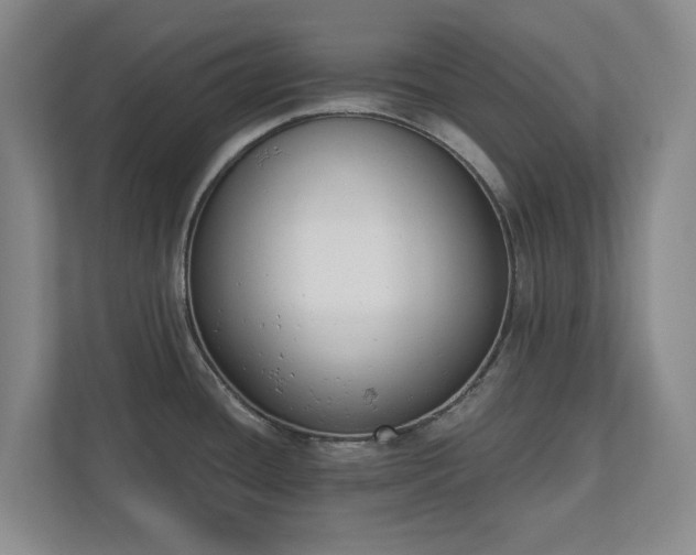 X0000110741436200906221020