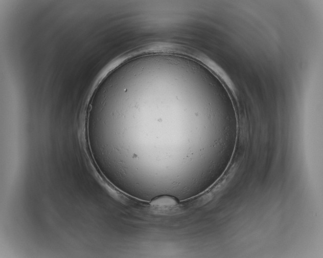 X0000110741437200906221020