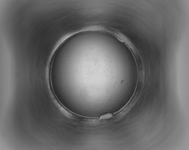 X0000110741438200906221020