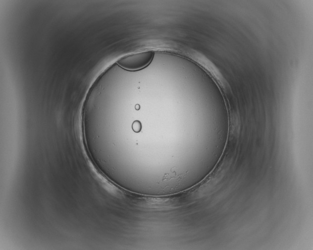 X0000110741439200906221020