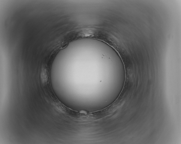 X0000110741442200906221019