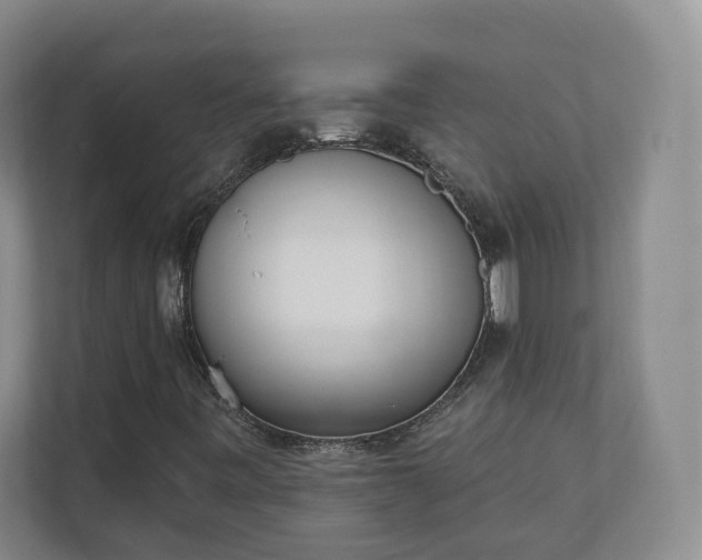 X0000110741443200906221019