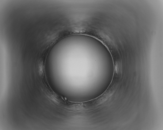 X0000110741444200906221019