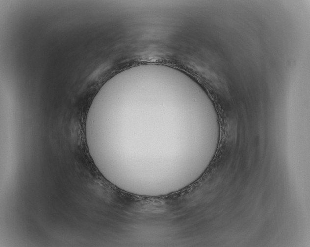 X0000110741446200906221019