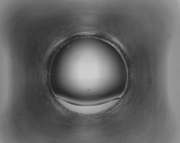 X0000110741448200906221019