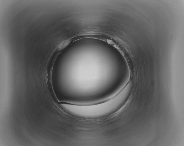 X0000110741449200906221019