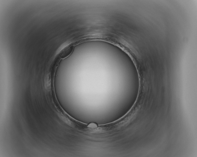 X0000110741450200906221019