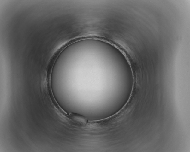 X0000110741452200906221019