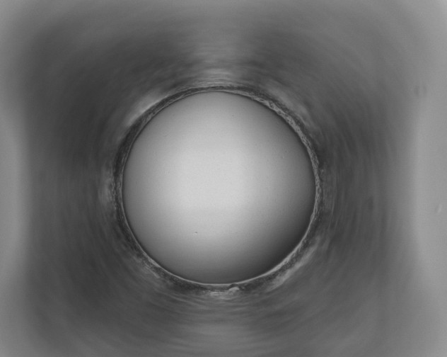 X0000110741453200906221019