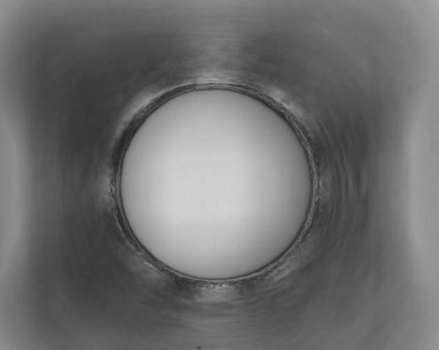 X0000110741454200906221019