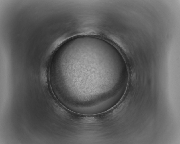 X0000110741455200906221019