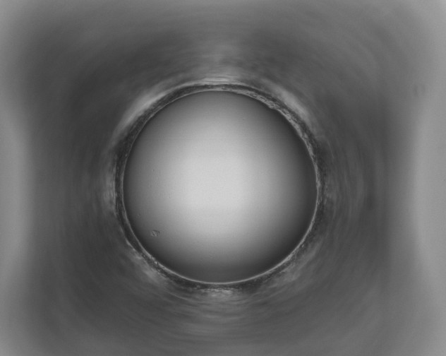 X0000110741456200906221019