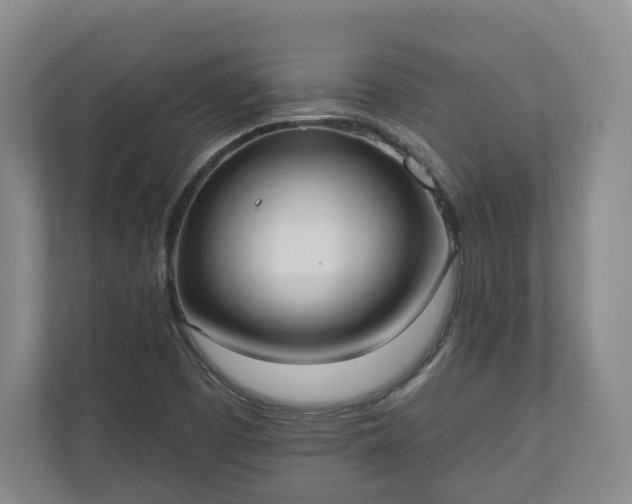 X0000110741457200906221019