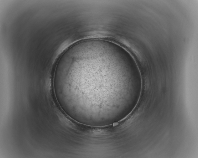 X0000110741459200906221019
