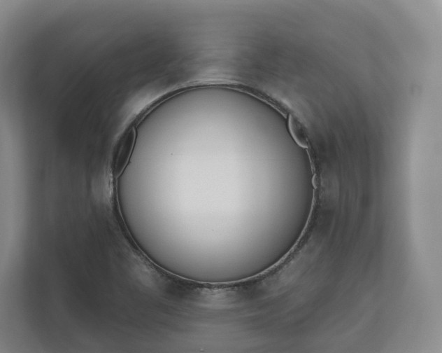 X0000110741461200906221019