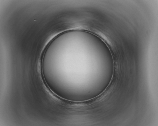 X0000110741468200906221019