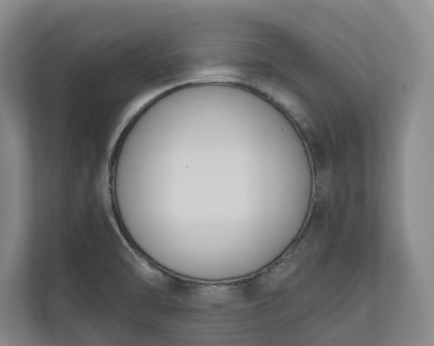 X0000110741470200906221019