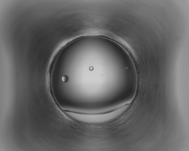 X0000110741472200906221019