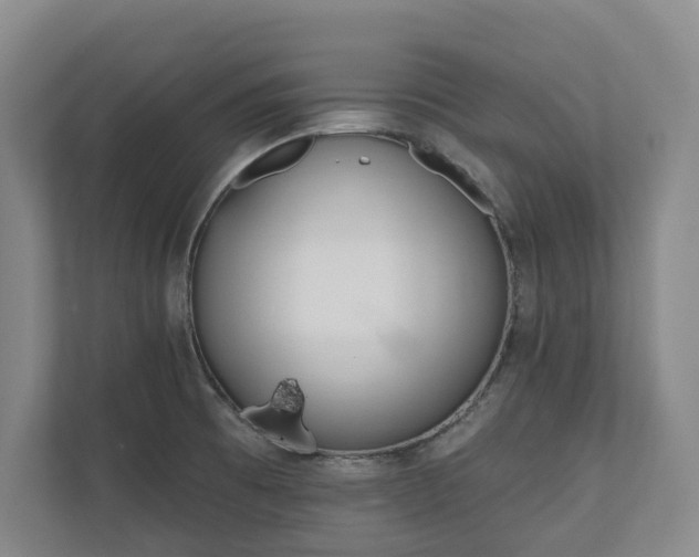 X0000110741473200906221019