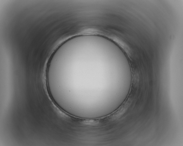 X0000110741478200906221019