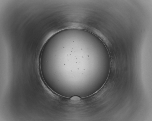 X0000110741479200906221019