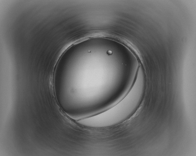 X0000110741481200906221019