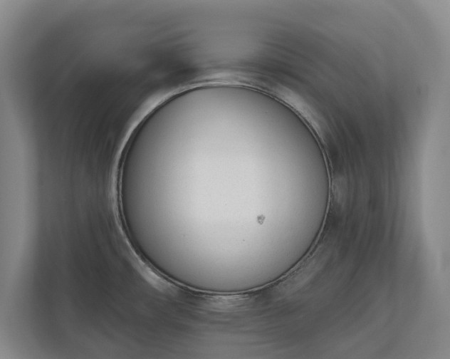 X0000110741482200906221019