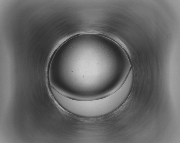 X0000110741485200906221019
