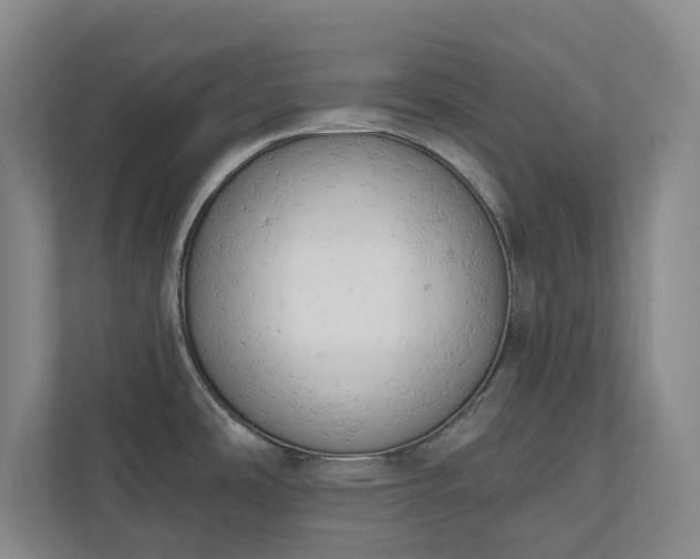 X0000110741486200906221018