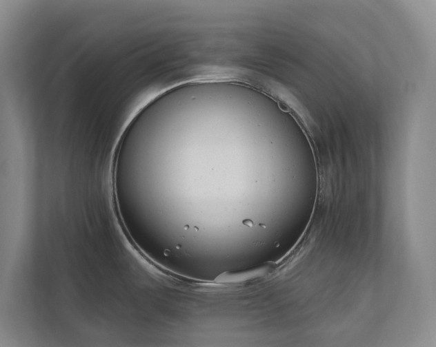 X0000110741487200906221018