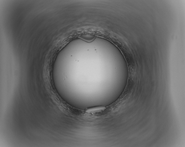 X0000110741489200906221018