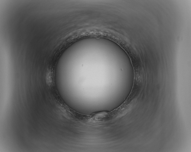X0000110741490200906221018