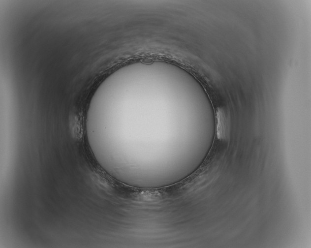X0000110741491200906221018