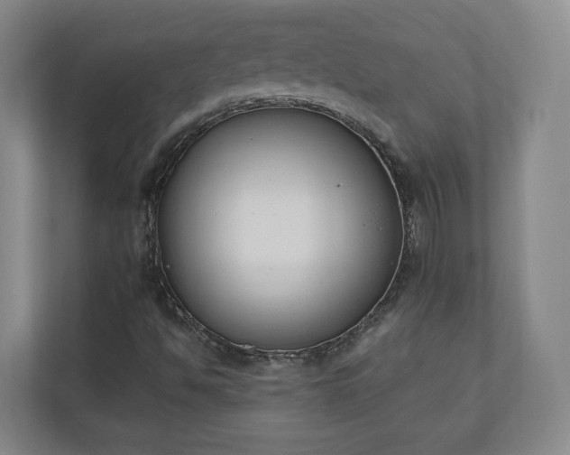 X0000110741494200906221018