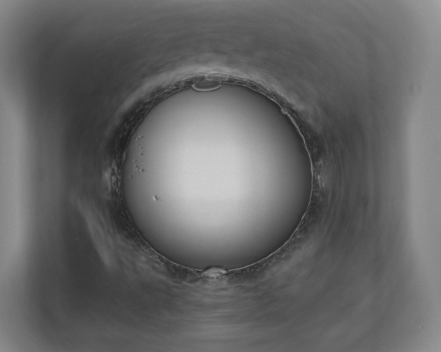 X0000110741495200906221018