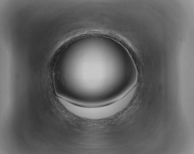 X0000110741496200906221018