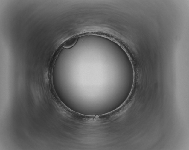 X0000110741497200906221018