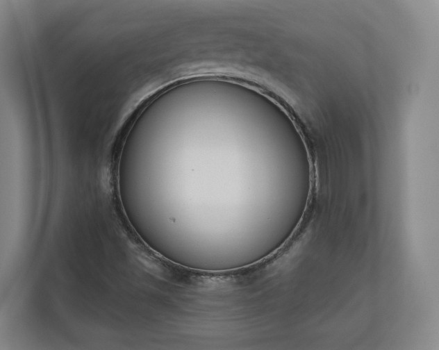 X0000110741501200906221018