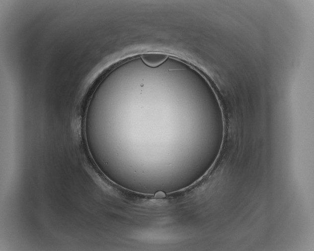 X0000110741503200906221018