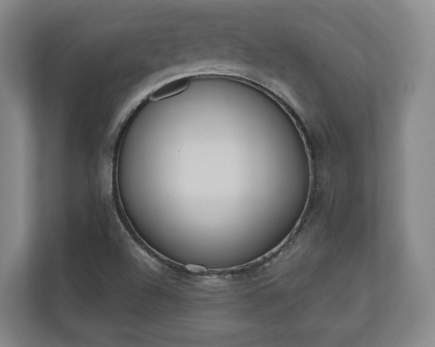 X0000110741504200906221018