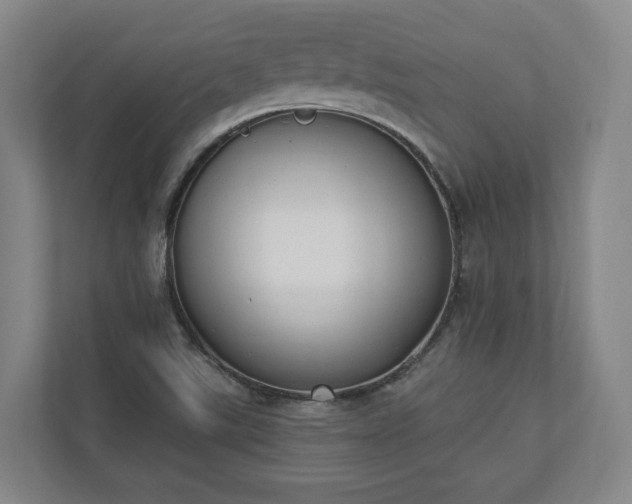 X0000110741507200906221018
