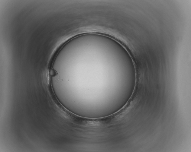 X0000110741509200906221018